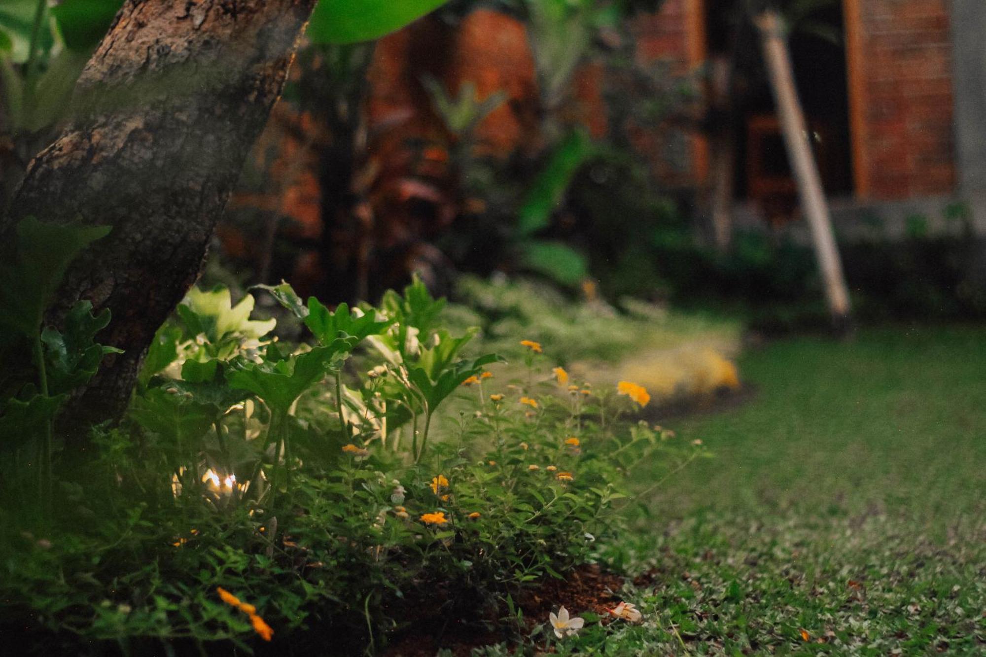 The Govardhan Homestay Canggu  Exterior photo